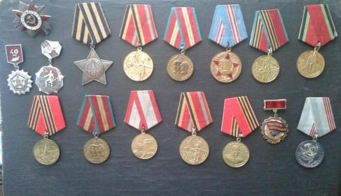 Орден Отечественной войны I степени, Орден Славы III степени и юбилейные медали