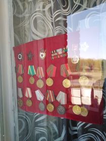 Орден Красной звезды, Орден отечественной звезды, Медаль Жукова,  Орден Славы III, Медаль за отвагу,