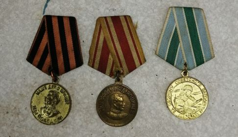 Награжден медалями "За боевые заслуги" и "За отвагу" и Орденом Отечественной войны  II степени.