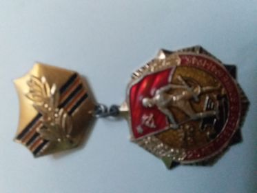 Знак 25лет ПОБЕДЫ в ВЕЛИКОЙ ОТЕЧЕСТВЕННОЙ ВОЙНЕ