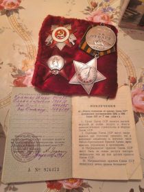 две медали за отвагу, орден Славы третьей степени,орден Красной звезды