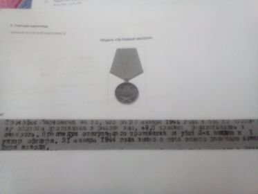 БОЕВЫЕ ЗАСЛУГИ. МЕДАЛЬ ЗА ПОБЕДУ НАД ГЕРМАНИЕЙ