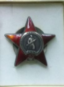 Орден Красной Звезды