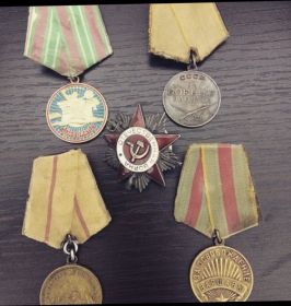 Медаль «За взятие Берлина» «Орден Отечественной войны» «За Боевые Заслуги»  Медаль «За победу над Германией в Великой Отечественной войне 1941-1945» медаль «За...