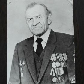 Орден Красной Звезды, Медаль «За отвагу», Медаль «За освобождение Праги», Орден Красной Звезды, Медаль «За победу над Германией в Великой Отечественной войне 19...