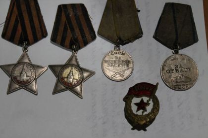 Орден Славы III степени, Орден Славы II степени, Медаль "За отвагу", Медаль " За боевые заслуги"