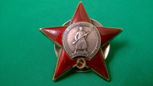 орден Красной звезды, орден отечественной войны 1 степени, медаль за боевые заслуги, медаль за победу над Германией