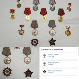 Орден Красной Звезды, Медаль за отвагу, Орден Отечественной Войны I степени, медаль за Оборону Сталинграда
