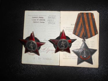 два ордена Красной Звезды, орден Славы III Славы, медаль за взятие Кенингсберга"