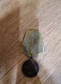 Медаль за боевые заслуги