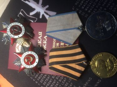 Медаль "За Отвагу", медаль Жукова,Ордена Великой Отечественной Войны 1,2 степеней