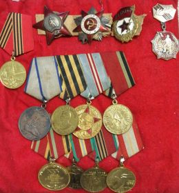 Орден Красного знамени, орден Красной звезды, орден Отечественной войны, медаль за отвагу