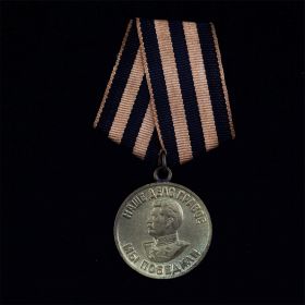 Медаль «За Победу над Германией»