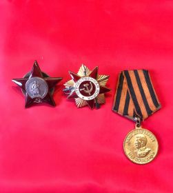 Орден Красной Звезды, Орден Отечественной войны Первой степени, медаль За Победу над Германией