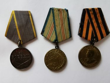 медаль за боевые Заслуги медаль За оборону Кавказа За Победу над Германией и др.