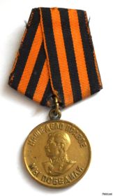 медаль За Победу над Германией в Великой Отечественной войне 1941-1945гг