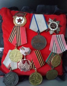Орден "Отечественной войны", медаль "Жукова", юбилейные