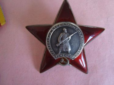 Орден "Красной звезды", медаль"За отвагу"