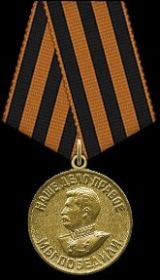 Медаль за Победу над Германией в Великой Отечественной Войне 1941-1945