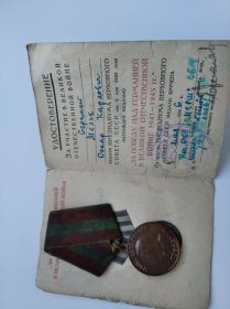 Медаль за победу над Германией в ВОВ 1941-1945гг