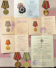 Орден отечественной войны II степени, Медаль за оборону Кавказа, Медаль за победу над Германией в ВОВ, Юбилейные медали