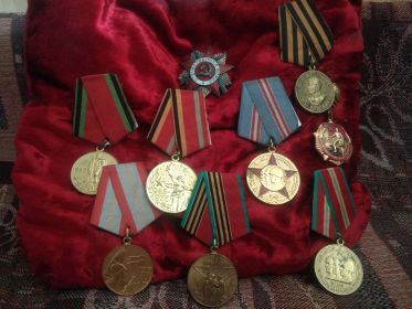 награждён  медалью  "За боевые заслуги " указом ПВС СССР от 6.11.1947 года за ранение не вручена