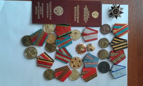 Орден Великой Отечественной войны 2-ой степени, медаль "За отвагу"