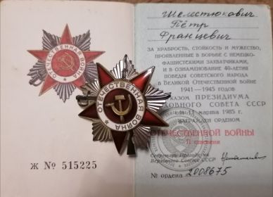 Медаль за освобождение Германии от немецко-фашистских захватчиков 1941-1945г.г.  Орден Отечественной ВойныIIстепени