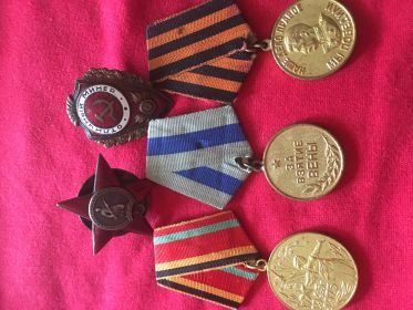 Орден Красной Звёзды,медаль За взятие Вены,медаль За победу над Германией