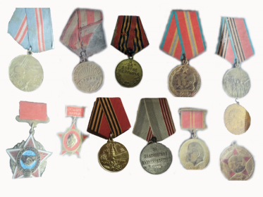 Медаль «За доблестный труд», Медаль «Ветеран труда», Юбилейные медали 50,60, 70 лет Вооруженных сил, Медаль «40 лет Победы в ВОВ»