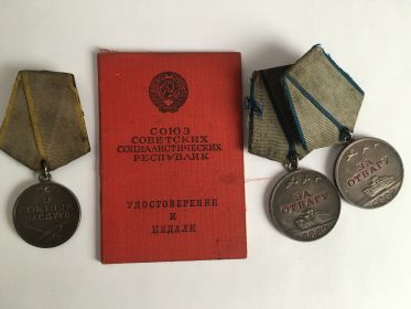 Медали "За боевые заслуги", "За отвагу"