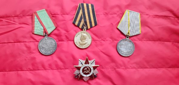 медаль за боевые заслуги, медаль за победу над Германией,Орден Отечественной Войны II степени