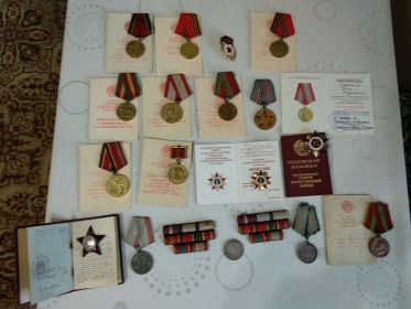 Орден Красной Звезды, Орден Отечественной Войны, Медаль за боевые заслуги, Медаль за победу над Германией в Великой отечественной войне 1941-1945 гг.