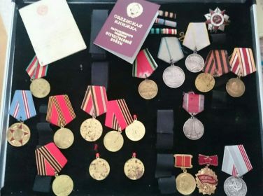 Орден Великой отечественной Войны, медали: За отвагу, За взятие Кенингсберга, За Боевые заслуги, За победу над Японией
