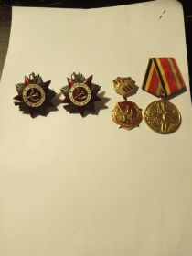 Орден « Красной звезды», орден « Красного знамени», медали за отвагу