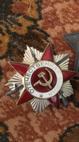 Медаль за отвагу, За победу над Германией