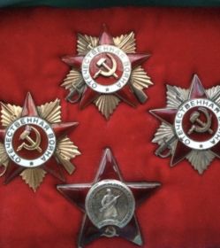 Орден Красного Знамени; 2 ордена Отечественная война I степени; орден Отечественная война IIстепени