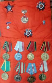 Орден «Красная звезда», орден «Отечественная война 2 степени», медаль «За победу над Германией», медаль «За победу над Японией»