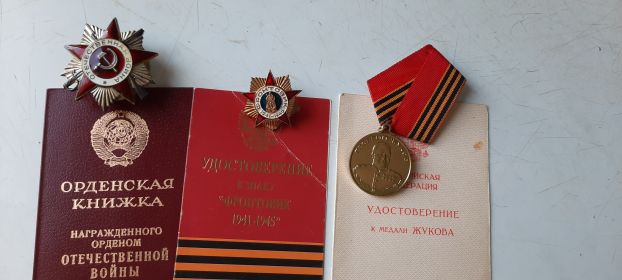 Награждена орденом Отечественной Войны 2 степени, медалью ЖУКОВА, знак ФРОНТОВИКА,