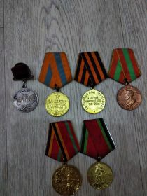МеМедаль "За боевые заслуги" в июне 1943 года, медаль "За взятие Будапешта" и "За Победу над Германией".