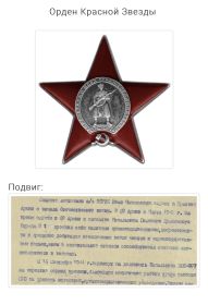 Награждён орденом Красной Звезды,медалями за взятие Берлина и Праги