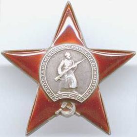 медали: За боевые заслуги, За отвагу, орден Красной Звезды