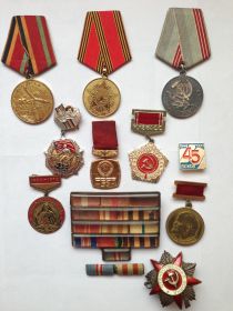 Ордена "Красной Звезды","Отечественной Войны 2степени";Медали "за Победу над Германией ","за Победу над Японией"