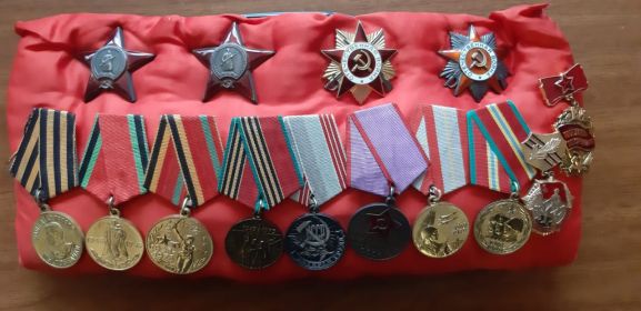 Орден Отечественной Войны 2ой степени,Орден Красной Звезды в 1944,Орден Красной Звезды в 1945,Медаль за победу над Германией.