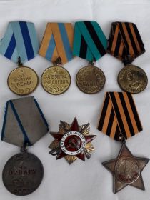 Медали за взятие: Белграда, Вены, Будапешта, Орден Отечественной войны 1 степени, Медаль за победу над Германией, Благодарность от Сталина