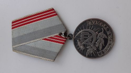 Медаль "За доблестный труд в ВОВ 1941-1945"