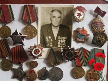 1 степень Отечественной войны, за отвагу Родине