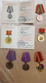 Орден Ленина (1966 г.), медаль "За доблестный труд в Великой Отечественной войне" (6 мюня 1945 г.)