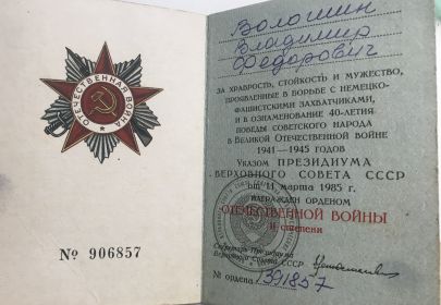 Орден Отечественной войны, медаль за взятие Берлина, медаль за победу над Германией, медаль за освобождение Варшавы.