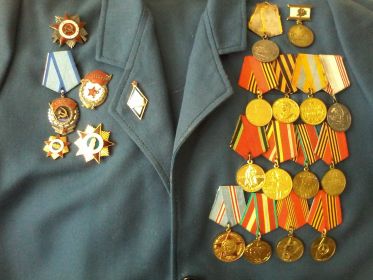 медалями” За боевые заслуги”, ”За взятие Будапешта”, ”За взятие Берлина” и многочисленными памятными медалями к каждому дню Победы. У неё 13 благодарностей от В...
